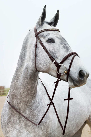 Horze Weston Bridle