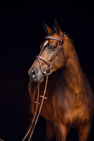 Horze Sion Bridle with Reins