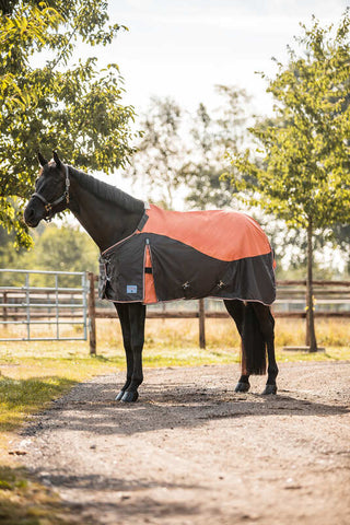 Horze Lucerne Turnout Rug, 250g