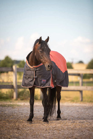 Horze Lucerne Turnout Rug, 250g